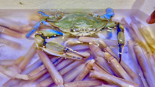 Ho mangiato il granchio blu